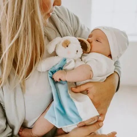 Skipit Puppy Bye Bye Buddy