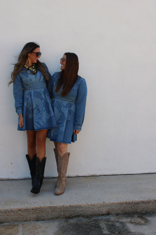Denim Long Sleeve Swing Dress