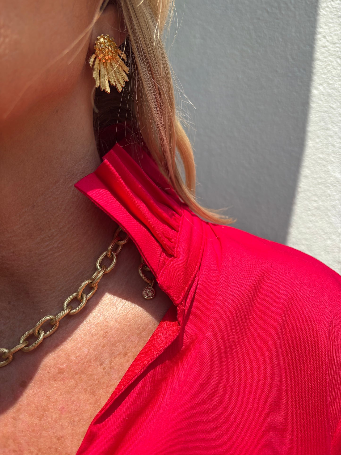Ruffle Collar A Line Dress