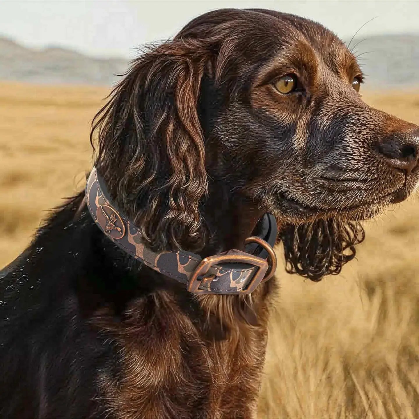 Auburn Tigers Old School Camo Leather Dog Collar