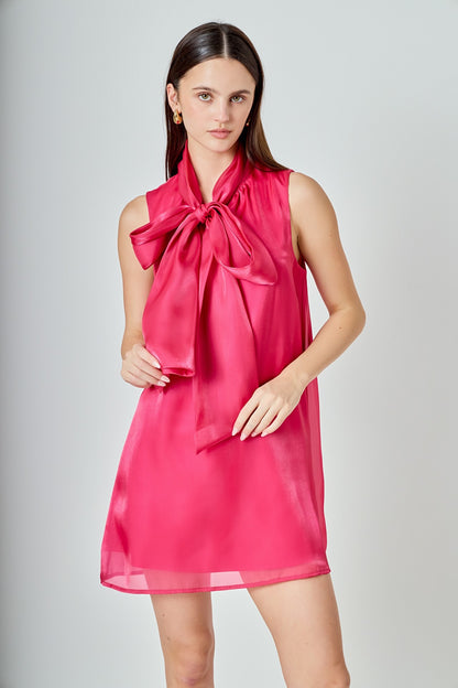 Organza Mini Dress