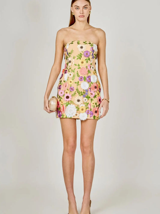 Floral Embroidered Mini Dress