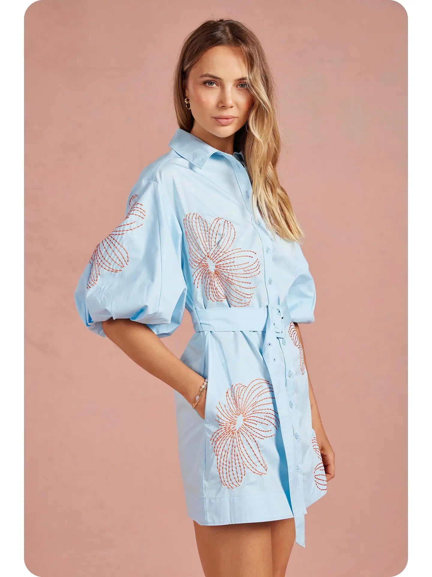 Embroidered Puff Sleeve Belted Mini Shirt Dress
