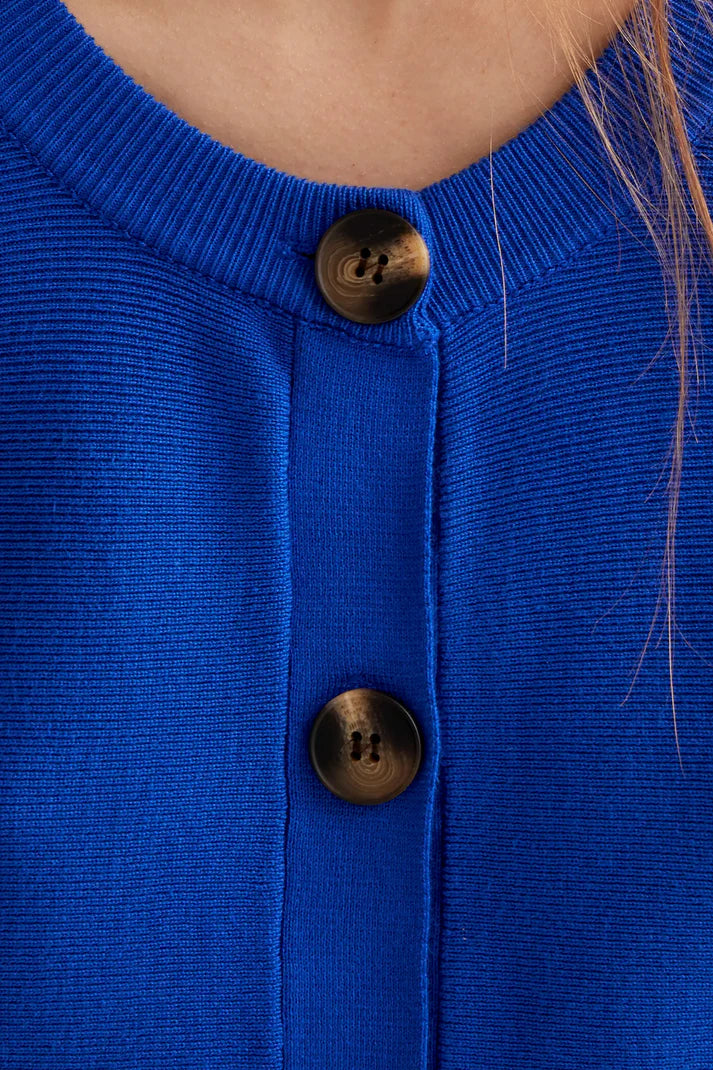 Blue Cardigan