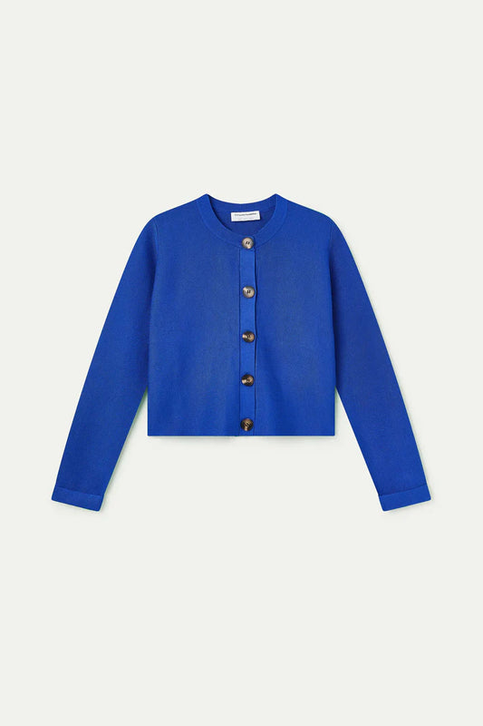 Blue Cardigan
