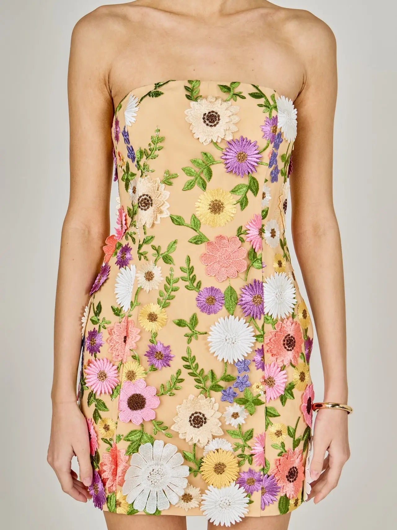 Floral Embroidered Mini Dress