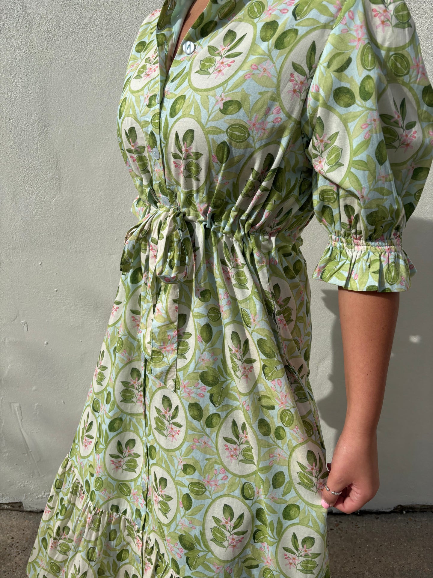 Catherine Dress in Key Limes Blue