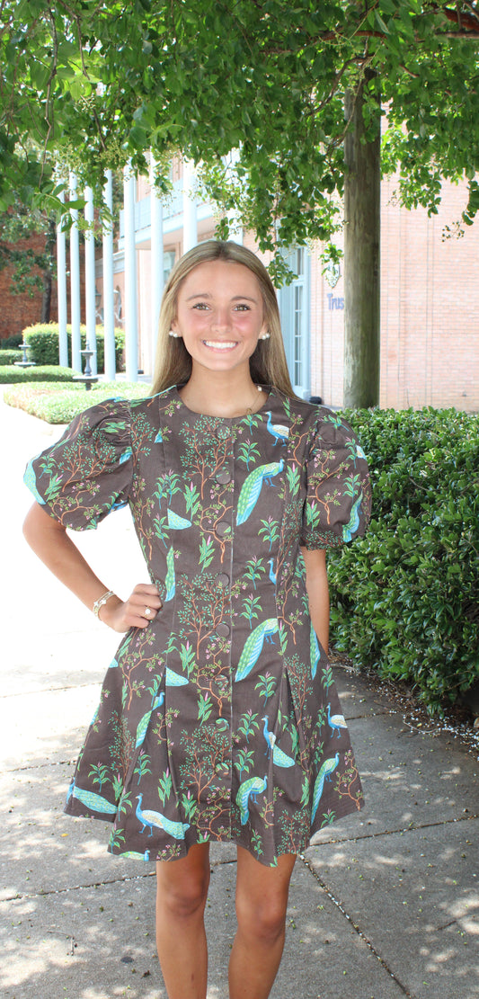 Puff Sleeve Button Down Mini Dress