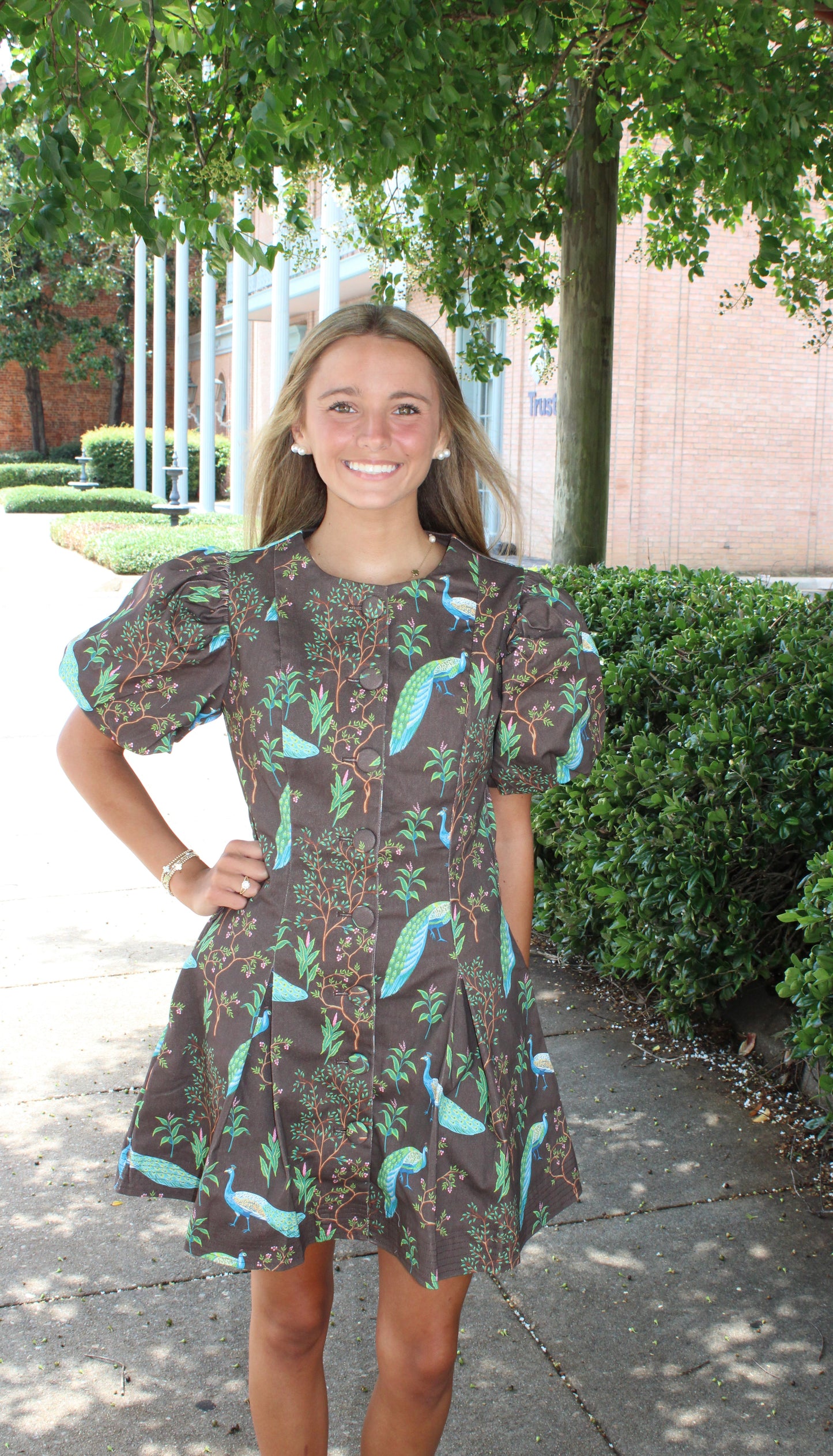 Puff Sleeve Button Down Mini Dress