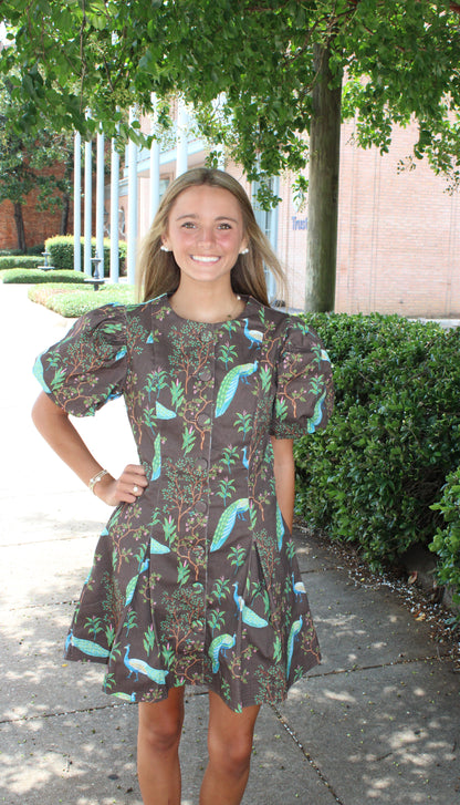 Puff Sleeve Button Down Mini Dress