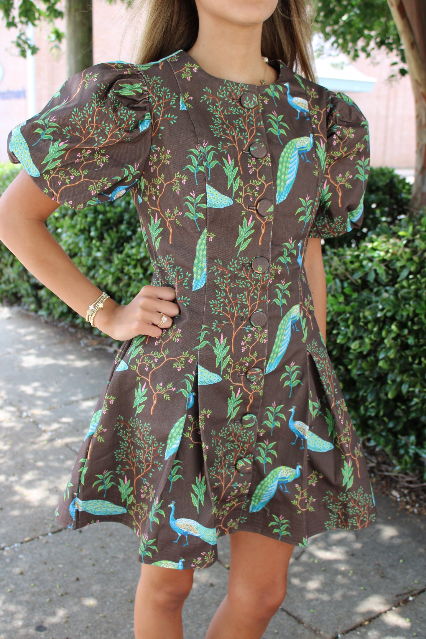 Puff Sleeve Button Down Mini Dress