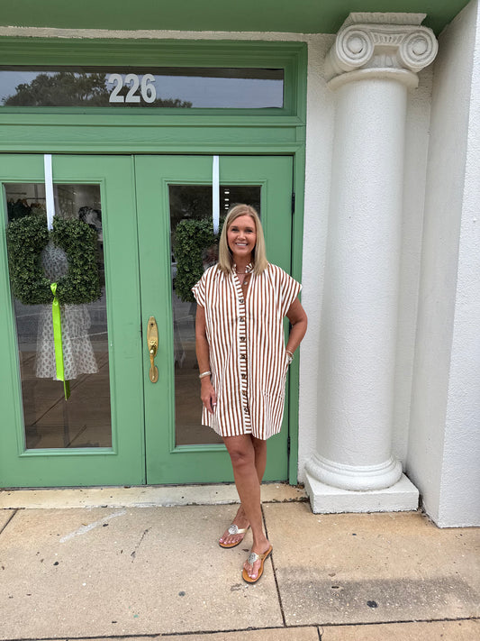 Striped Button Up Dress