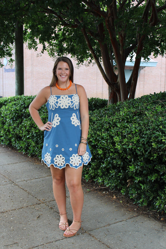 Embroidered Mini Dress