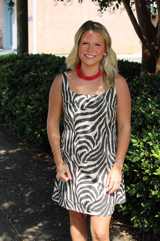Print Mini Dress