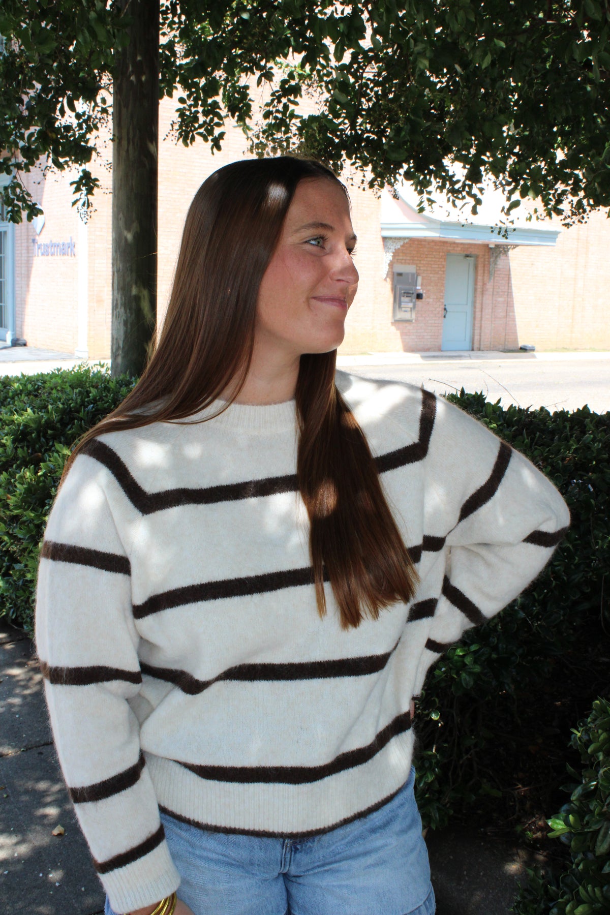 Cream/Brown Stripe Sweater