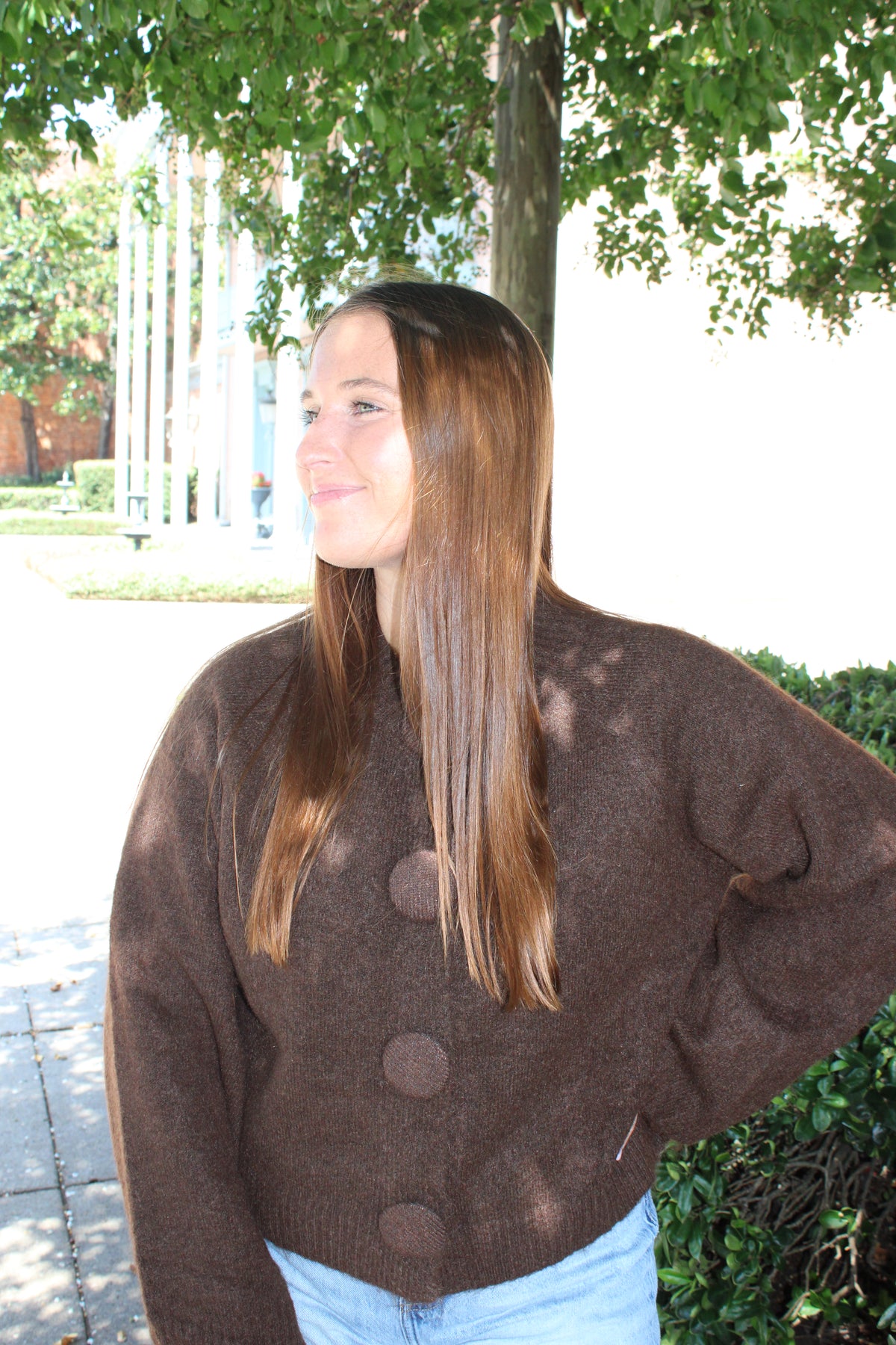 Brown Big Button Cardigan