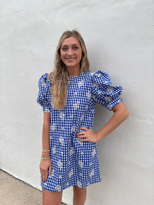 Blue Embroidered Mini Dress
