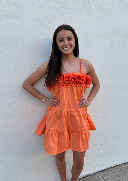 Rosette Trim Tiered Mini Dress Romper