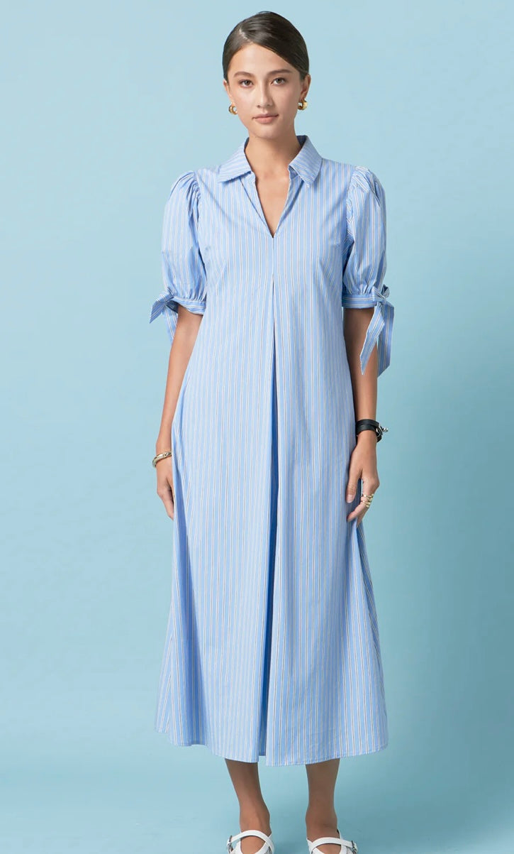 Godet Midi Dress