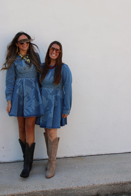 Denim Long Sleeve Swing Dress