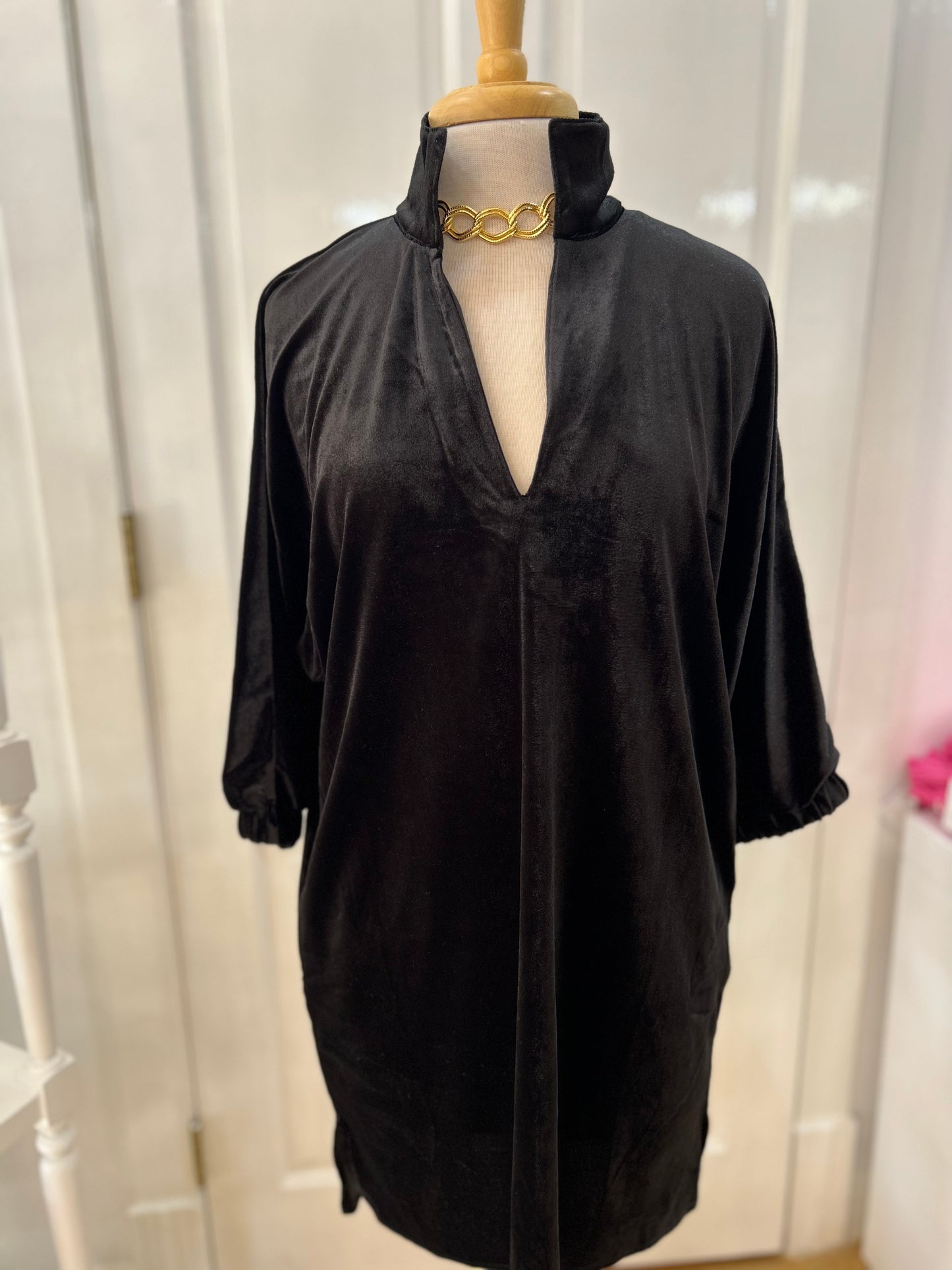 Caryn Lawn Betsy Collar Velvet Dress Black