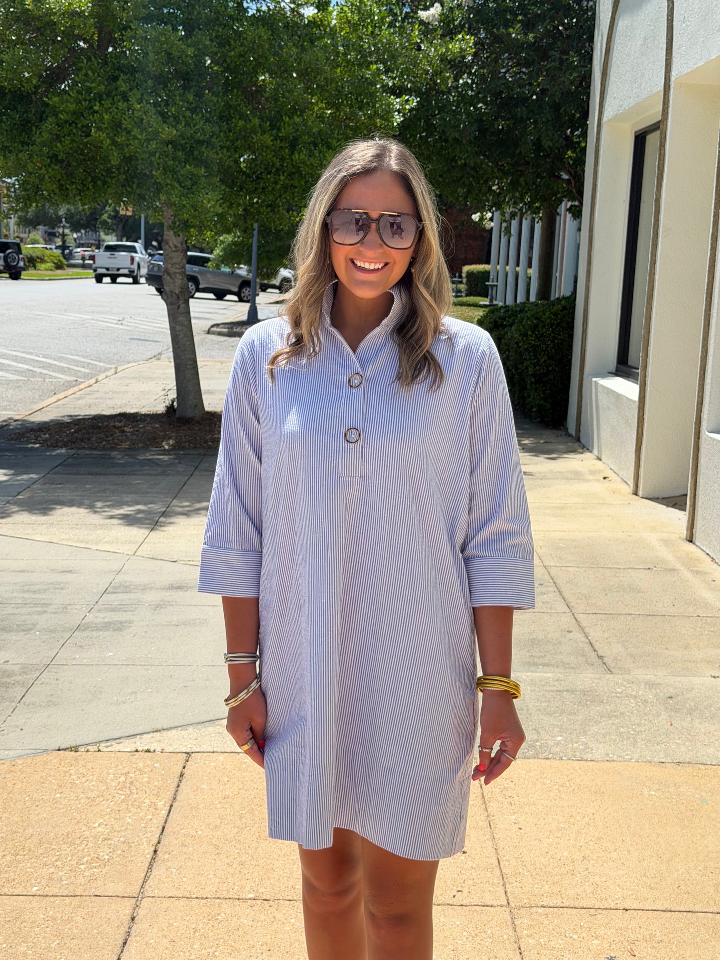 Arden Dress Blue and White Seersucker