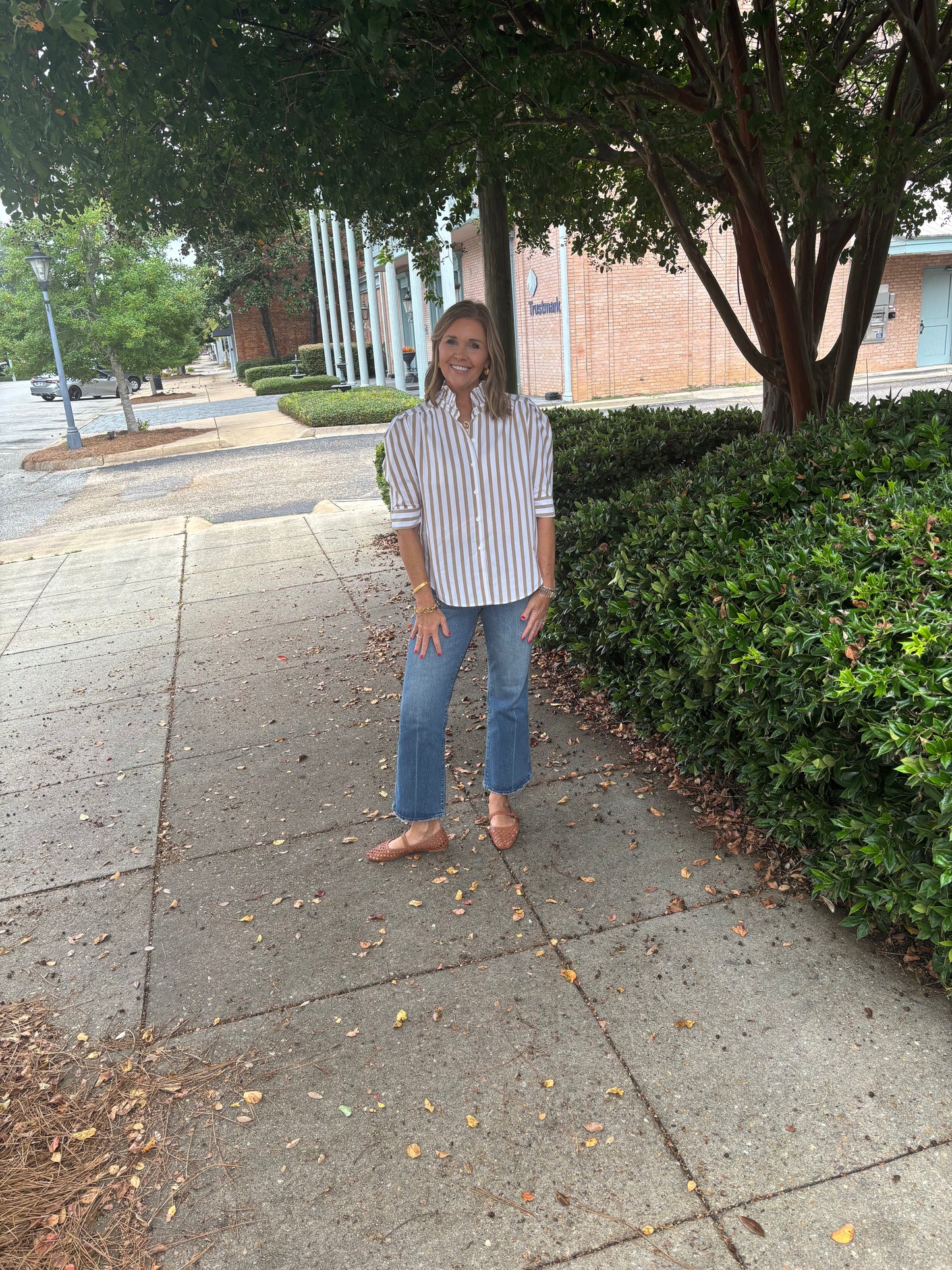 Puff Sleeve Top with Ruffle Collar Brown Stripe
