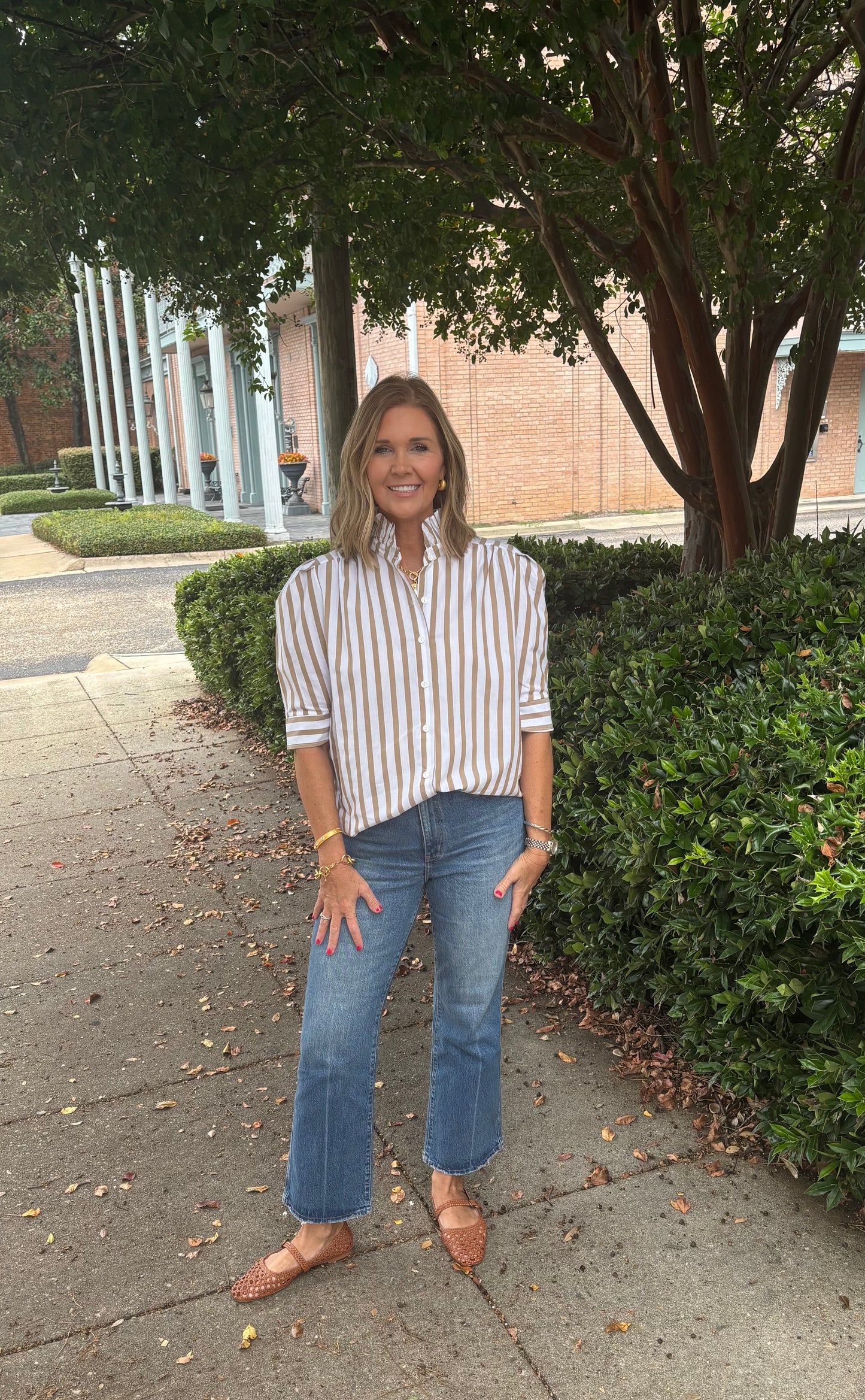 Puff Sleeve Top with Ruffle Collar Brown Stripe