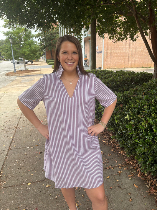Ruffle Collar A line Dress Purple Stripe