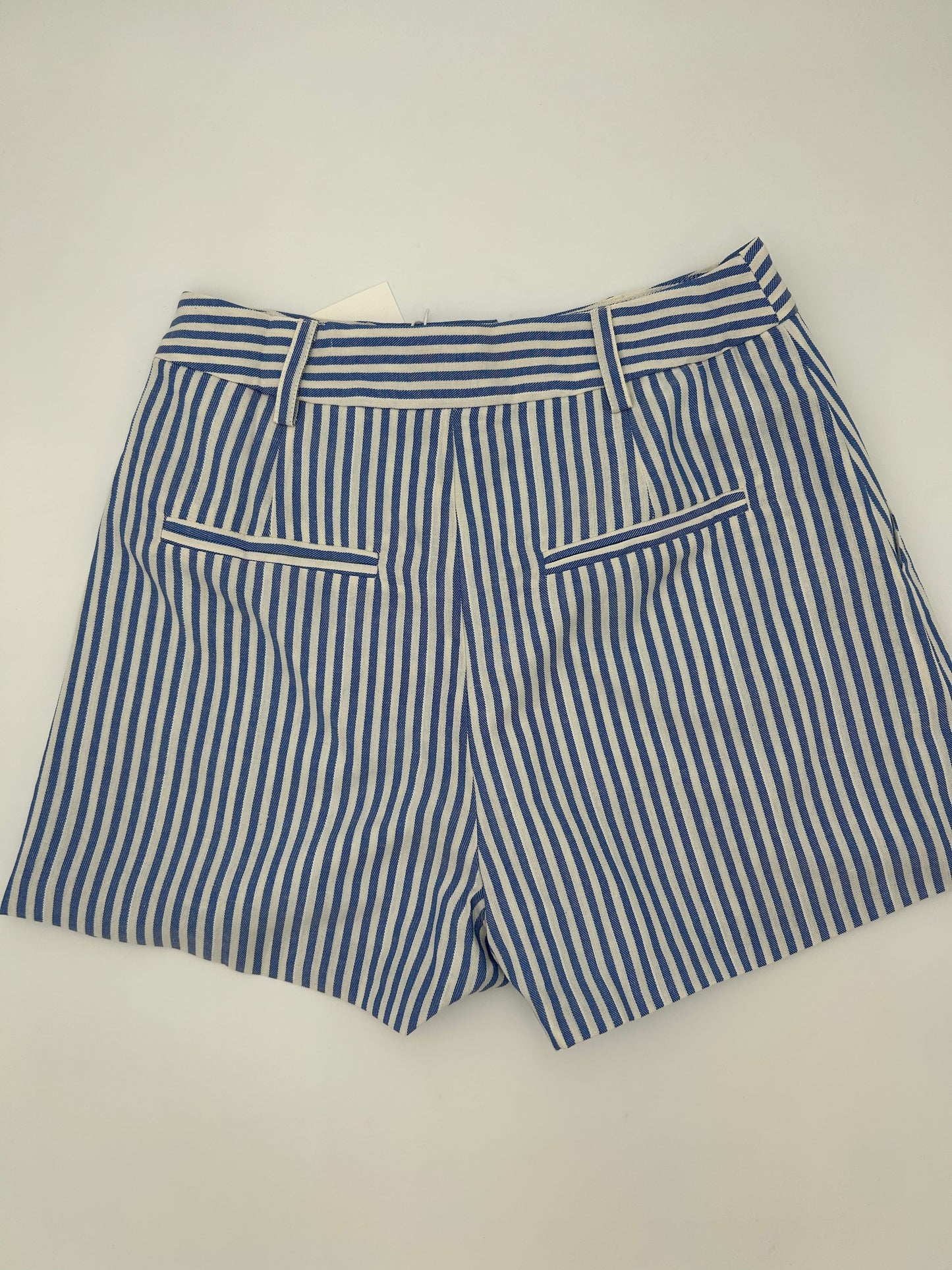 Blue Stripe Shorts