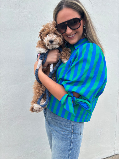 Green/ Blue Stripe Top