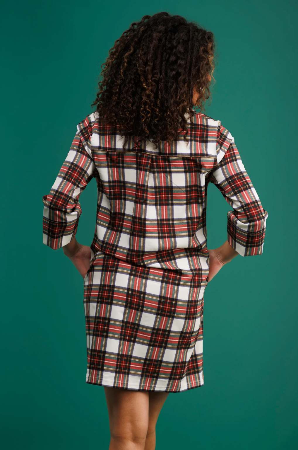 The Sophia Dress Winter Tartan