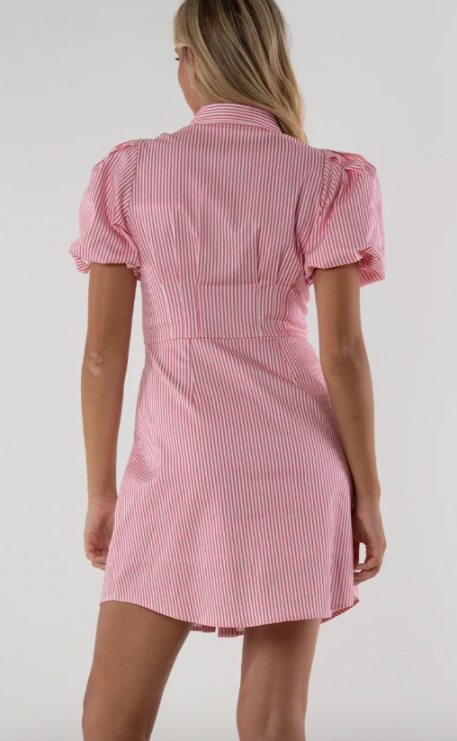Britt Dress in Pink Carnation