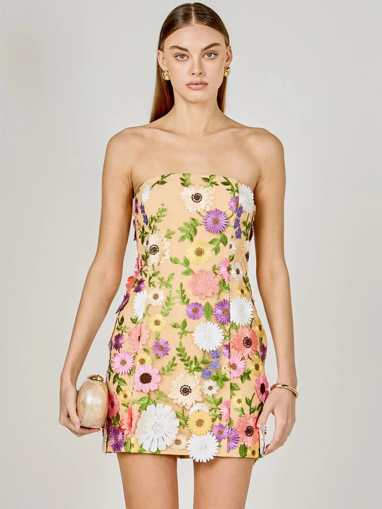 Floral Embroidered Mini Dress