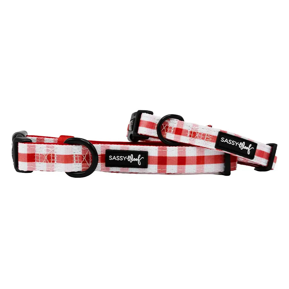 Small Sassy Wolf Dog Collar