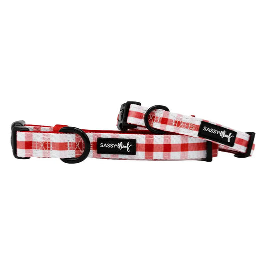 Small Sassy Wolf Dog Collar