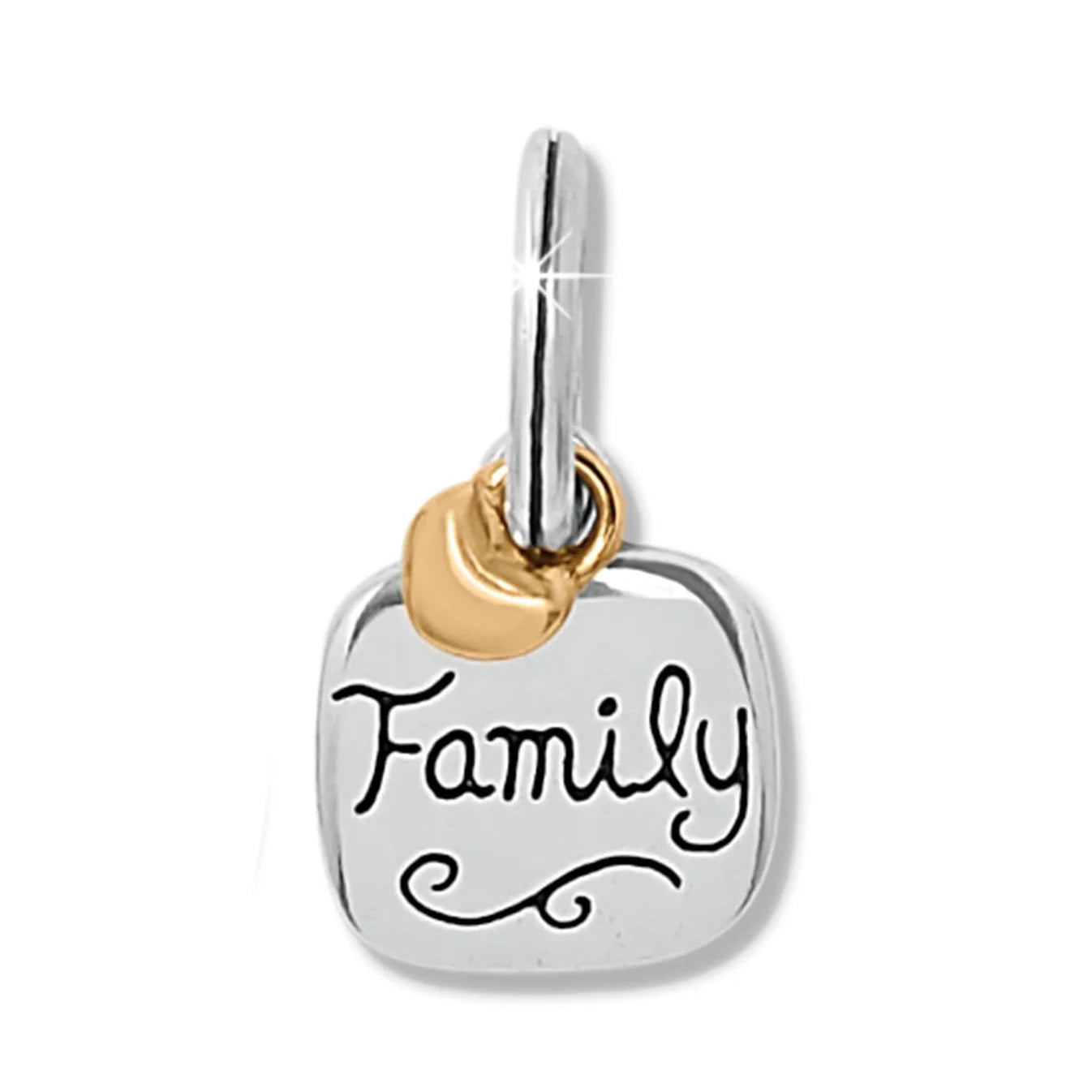 Family Charms